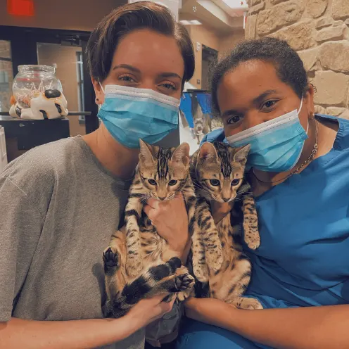 Two MRPH staff holding two kittens
